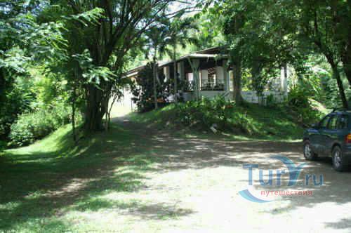 Графтон Бёрд Сэнктуэри (Grafton Bird Sanctuary)