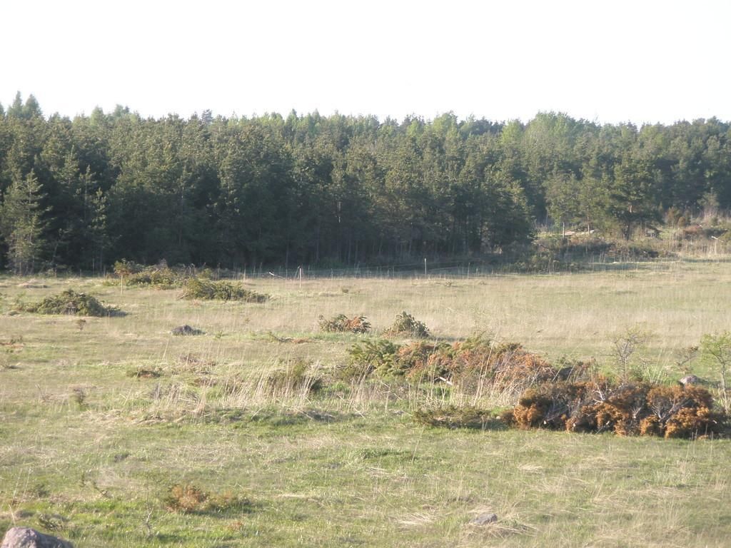 Башня для наблюдения за природой и птицами в дубраве Лооде