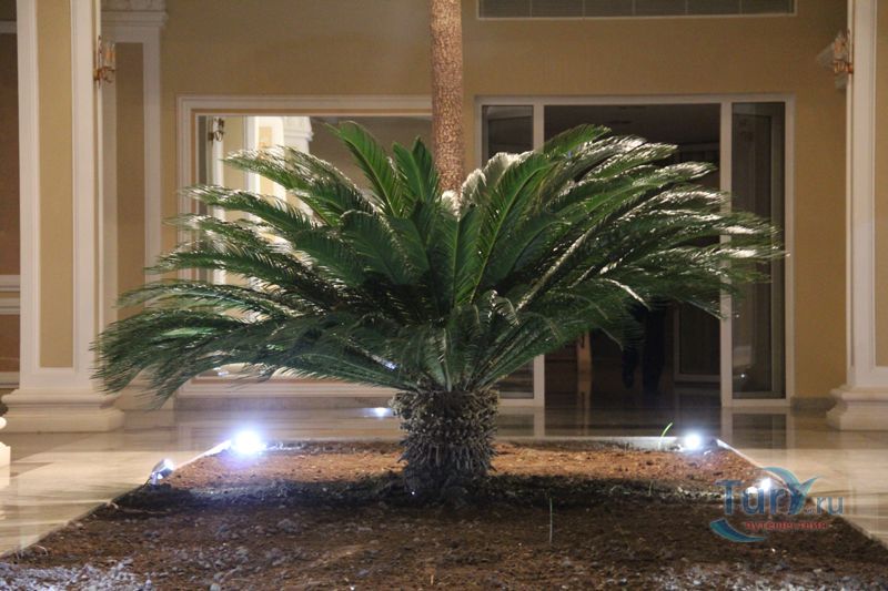 Государственный Музыкальный Центр Батуми