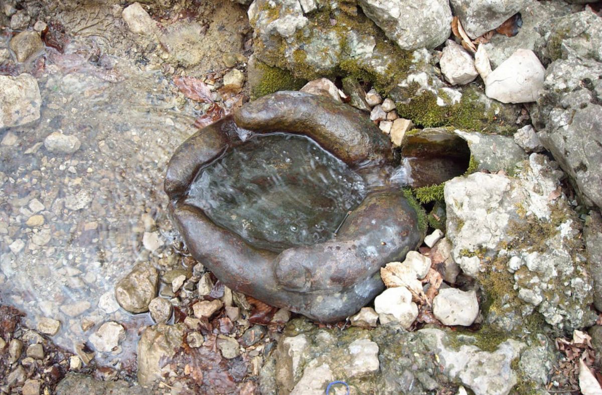 Партизанский источник Ладошки