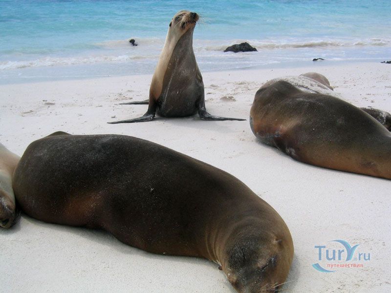 Залив Гарднер Бей (Gardner Bay)