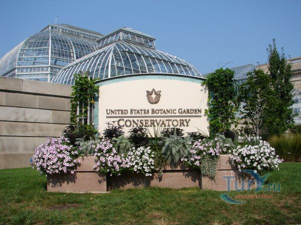 Ботанический сад США