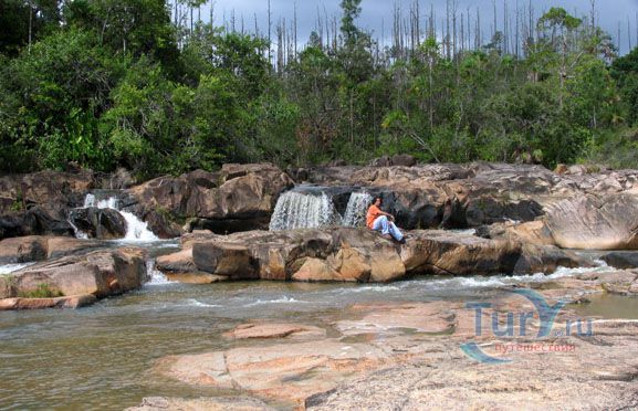 Лесной Заповедник Соснового Горного Хребта