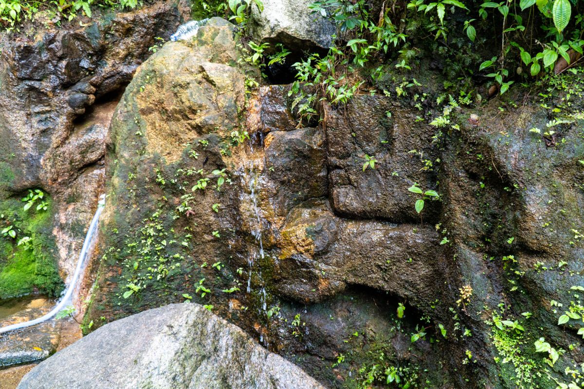 Национальный парк Морн Сейшелуа