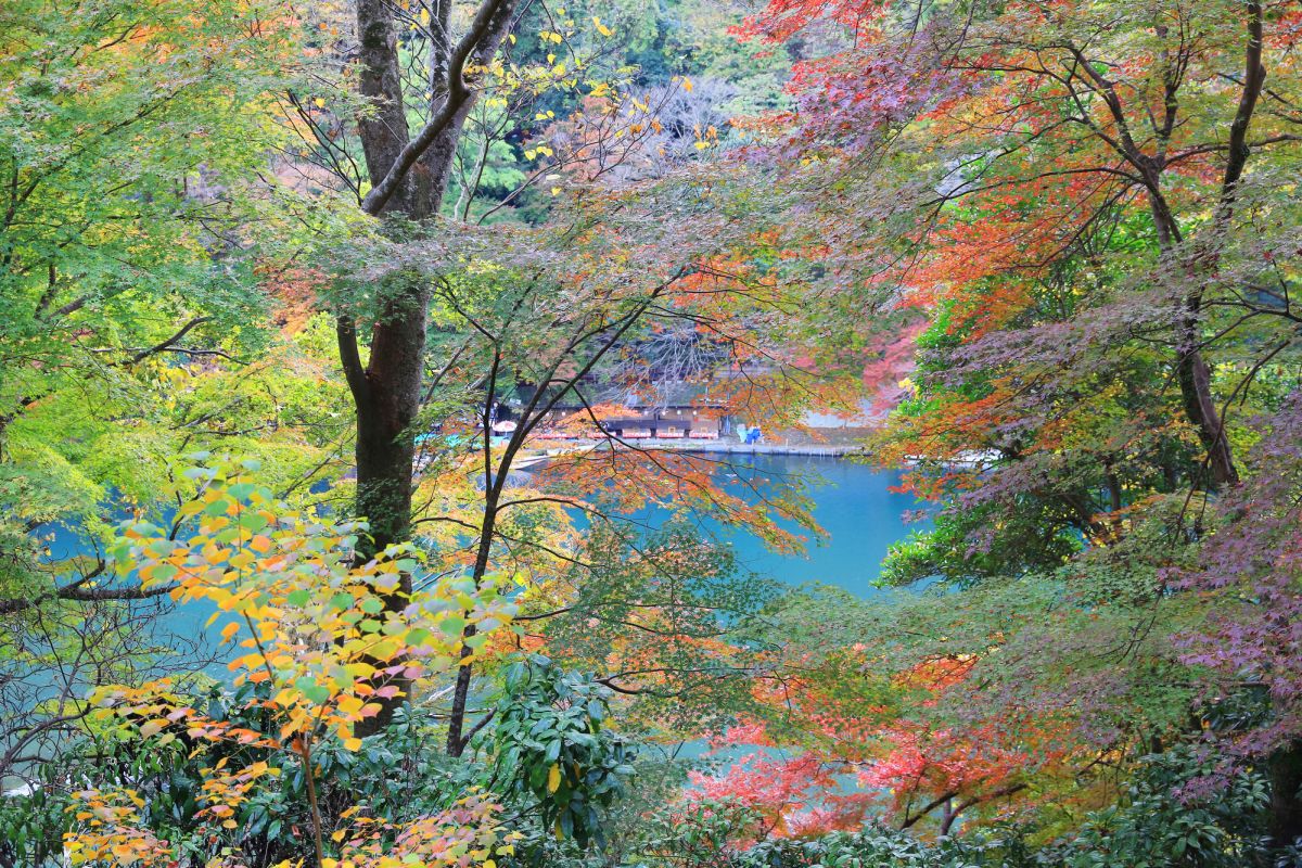 Плотина реки Ойгава