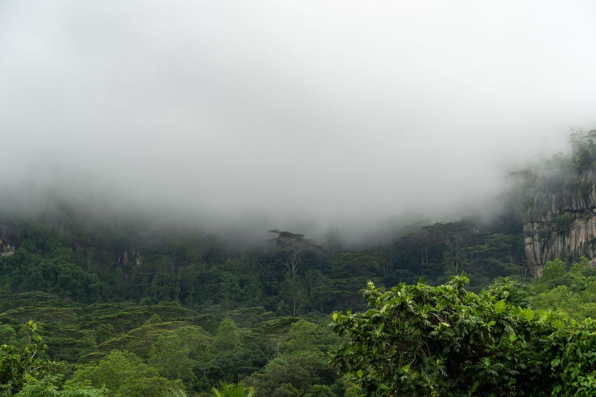 Сейшельский международный аэропорт