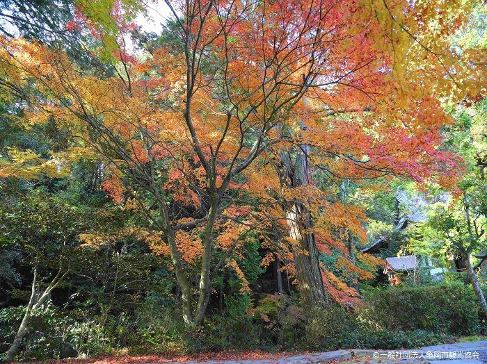 Храм Рётан-дзи