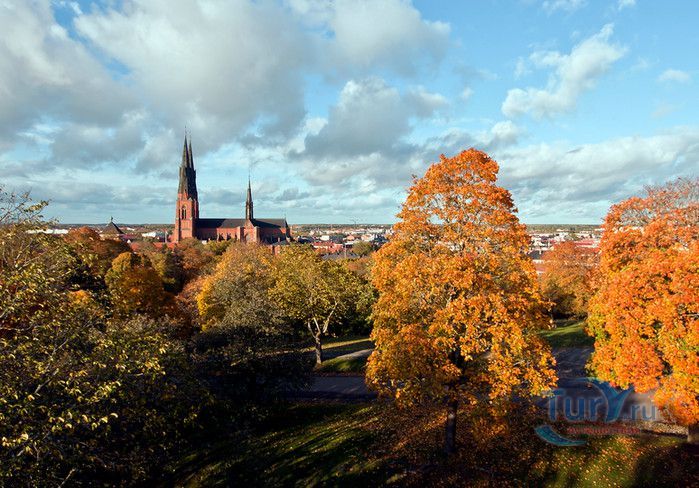 Уппсальский Кафедральный Собор