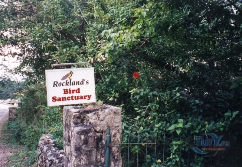 Птичий заповедник Роклэндс