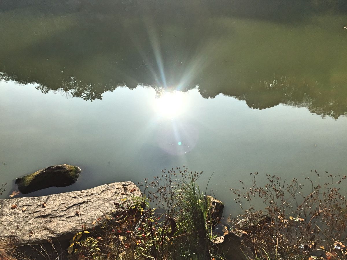 Река Тетерев