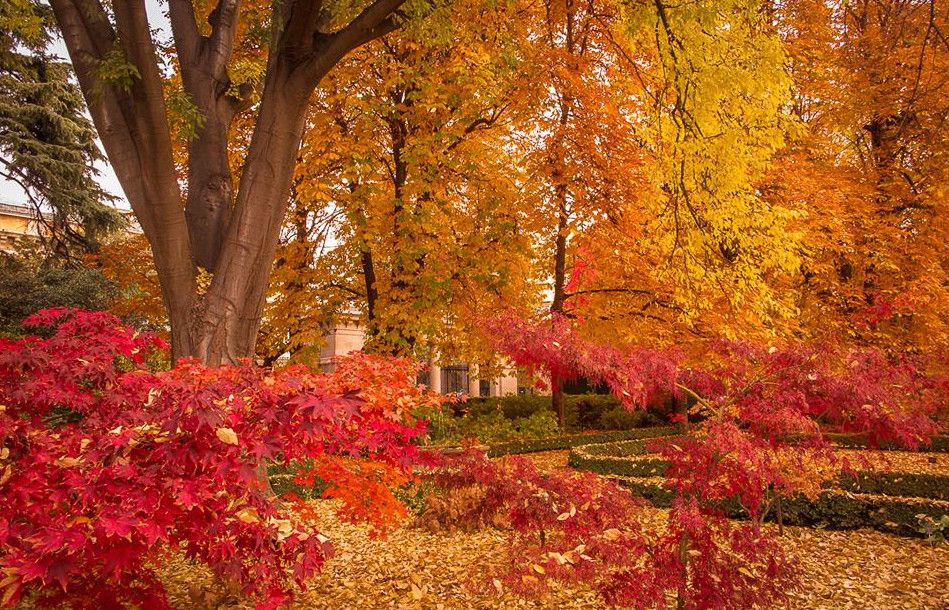 Королевский ботанический сад Мадрида
