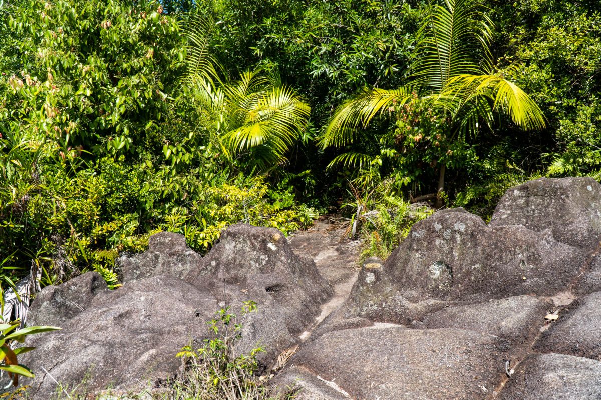 Гласис Ла Резерв Трейл