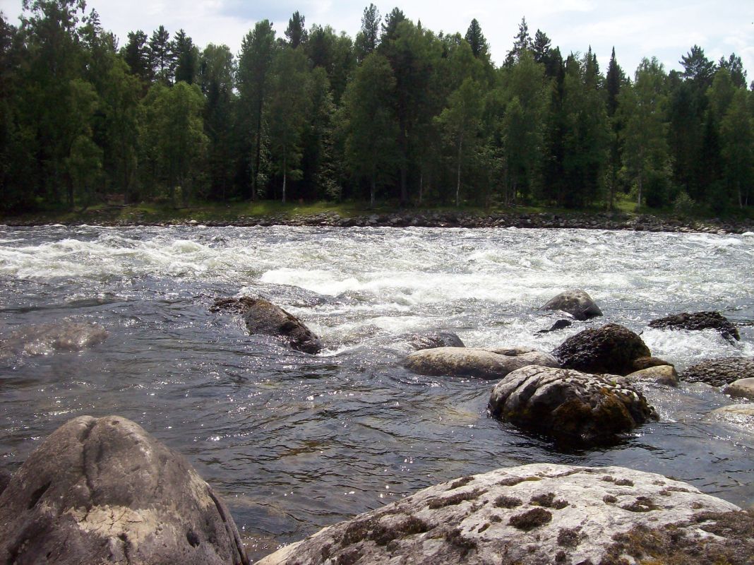 Алеусский заказник