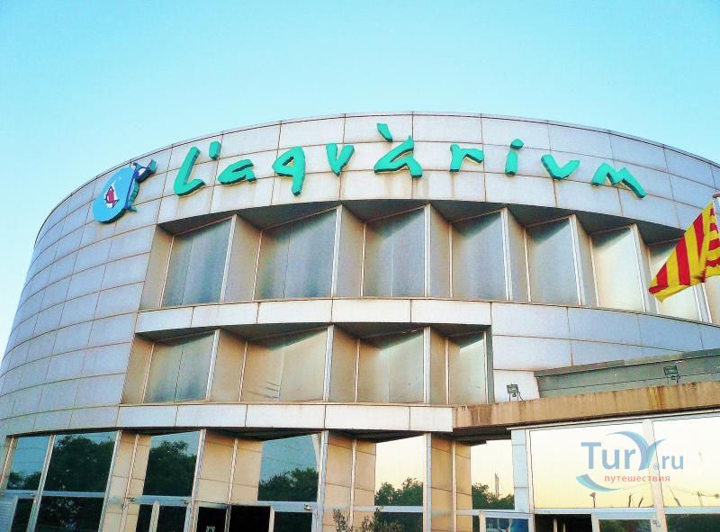 Аквариум Барселоны