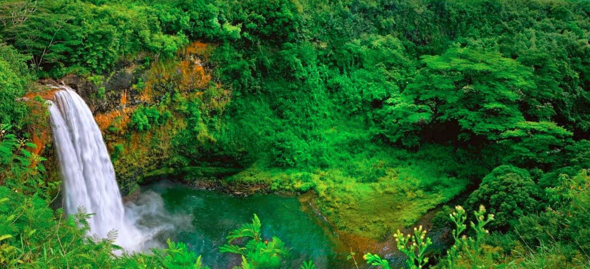 Национальный парк Ноэль-Кемпфф-Меркадо