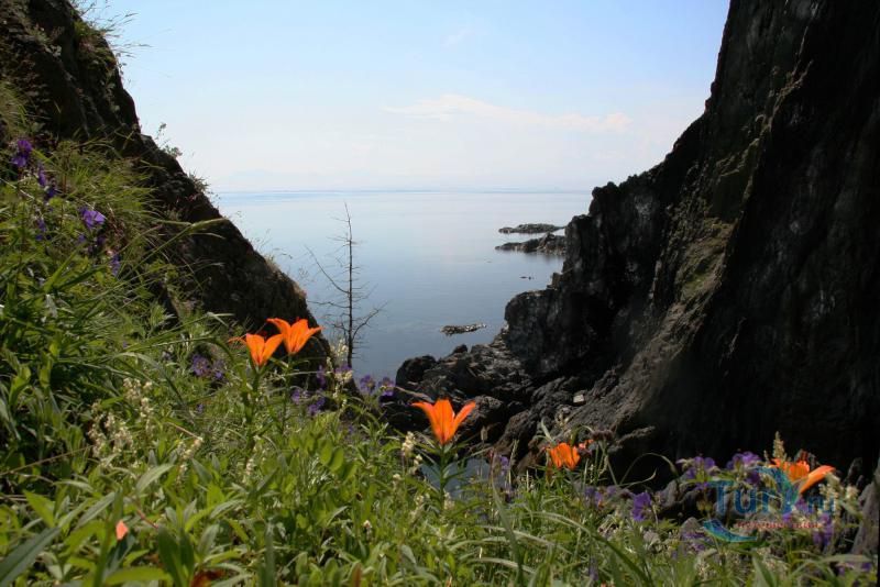 Шантарские острова