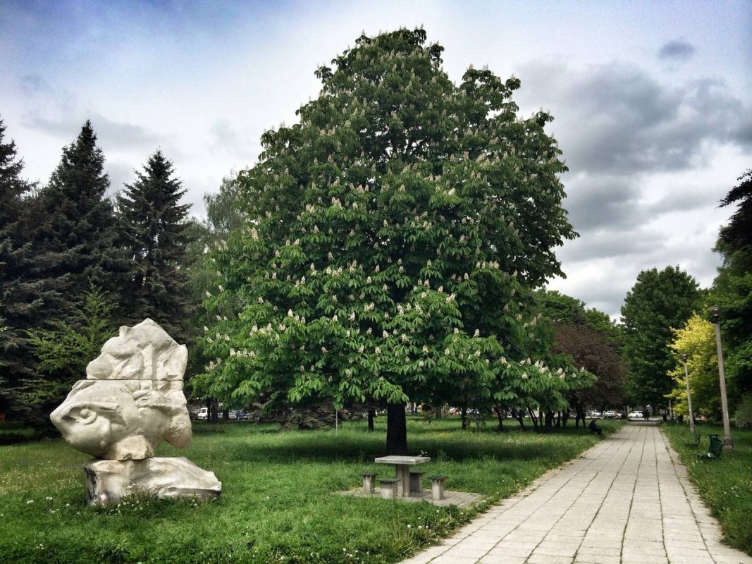 Ратушевый парк