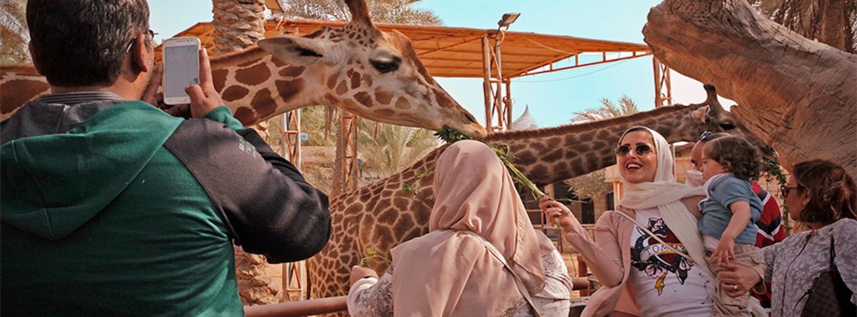 Зоопарк «Эмирейтс Парк»