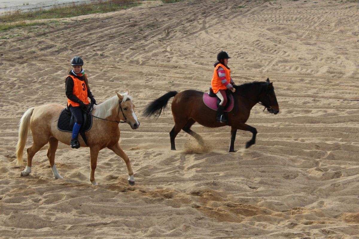 Конный хутор Арма