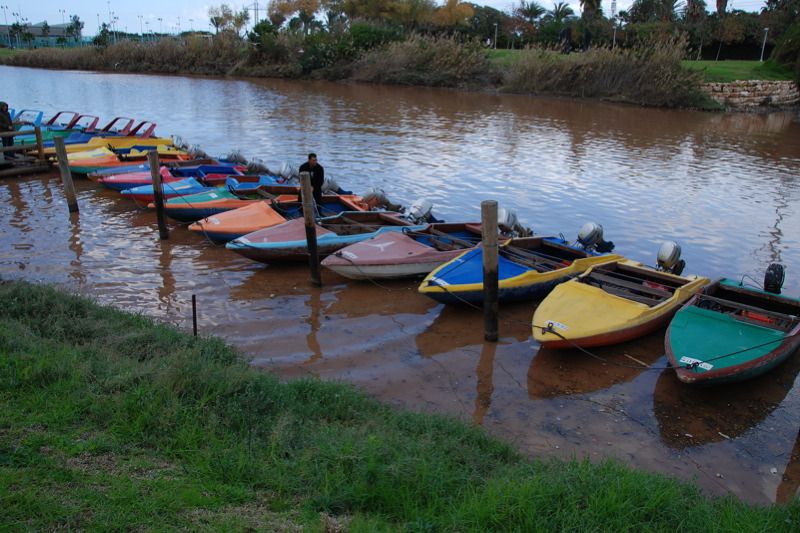 Городской Парк Яркон (Сады Джошуа)