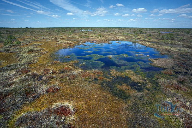 Полистовский заповедник