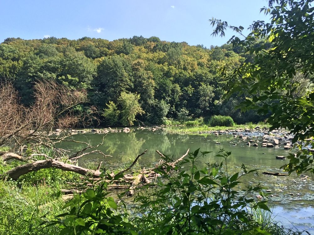 Река Тетерев