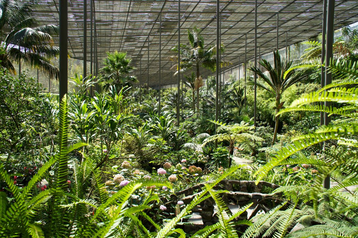 Парк Эдварда VII и Эстуфа Фриа 