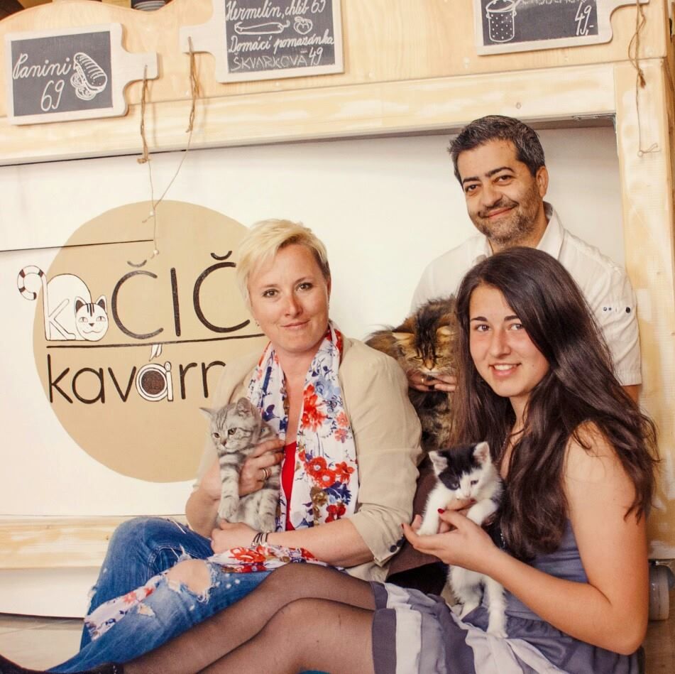 Кошачье кафе (Kočičí kavárna)