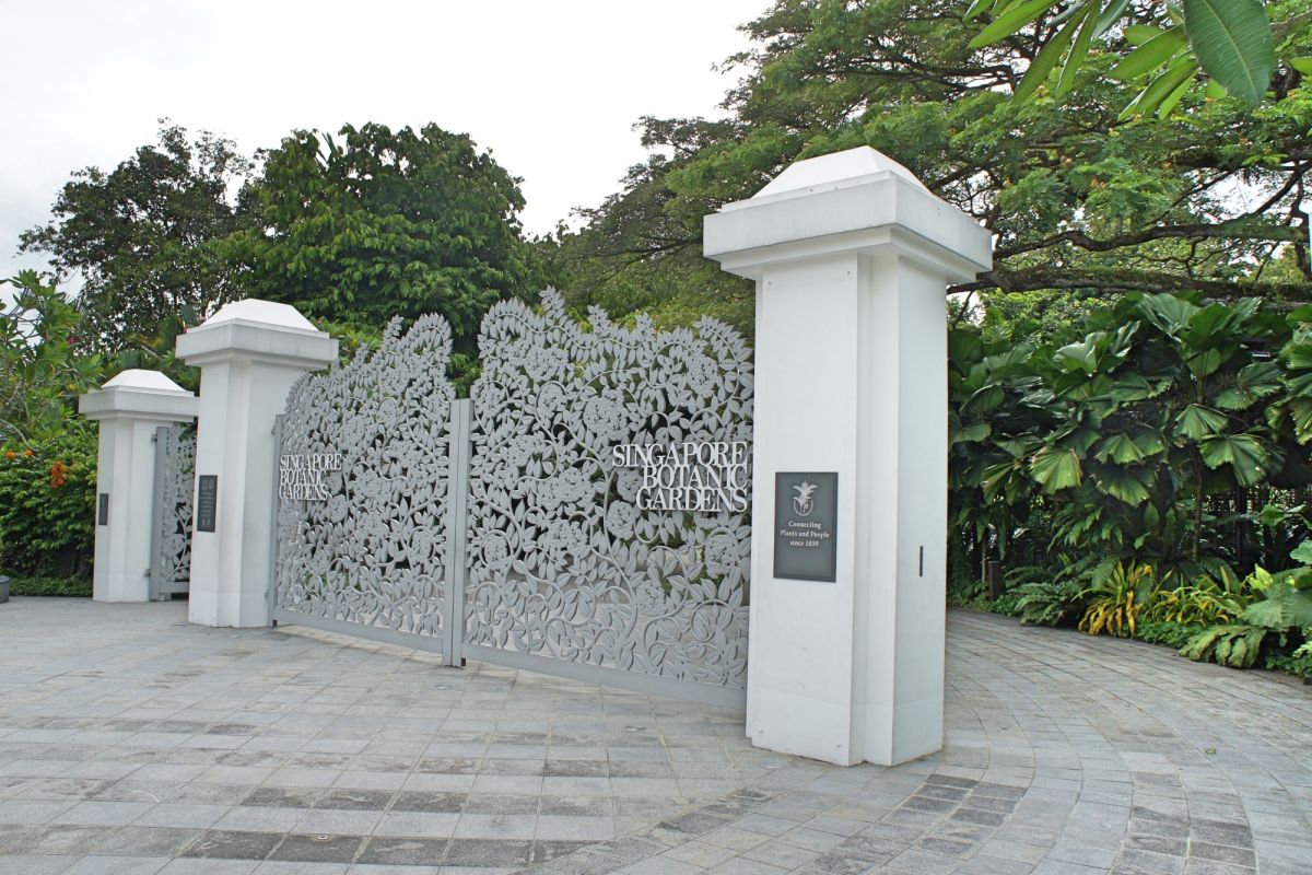 Сингапурский ботанический сад