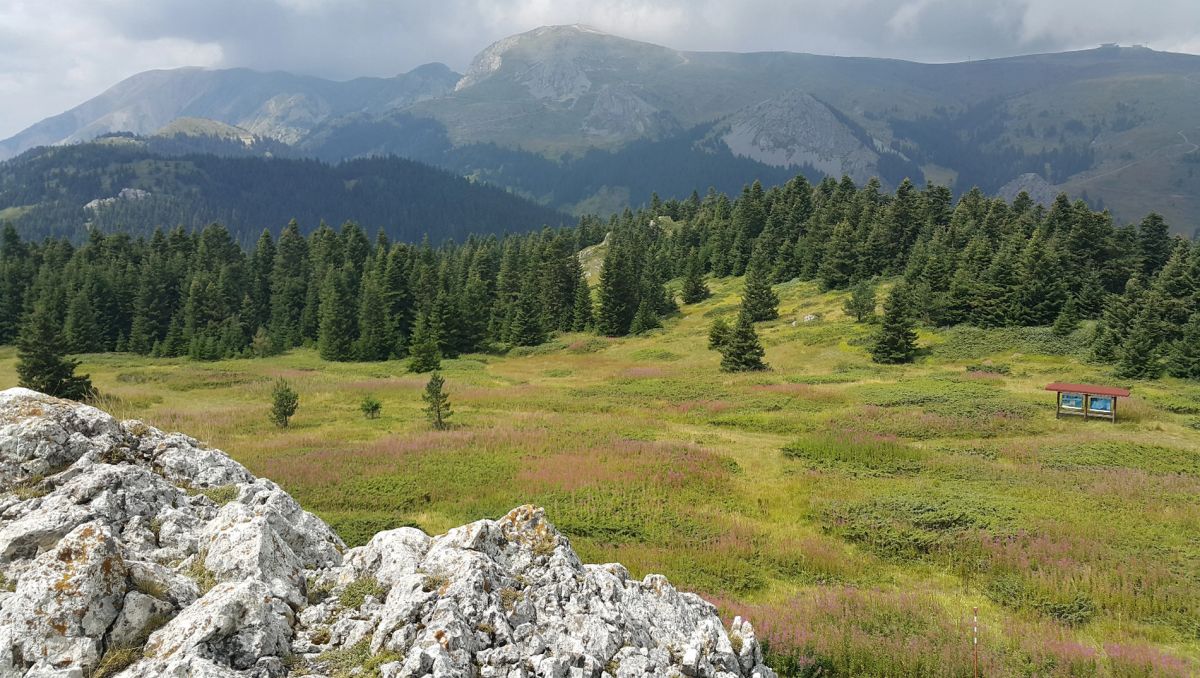 Национальный парк горы Илгаз