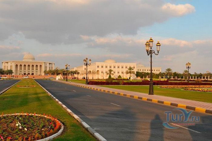 Американский Университет Шарджи