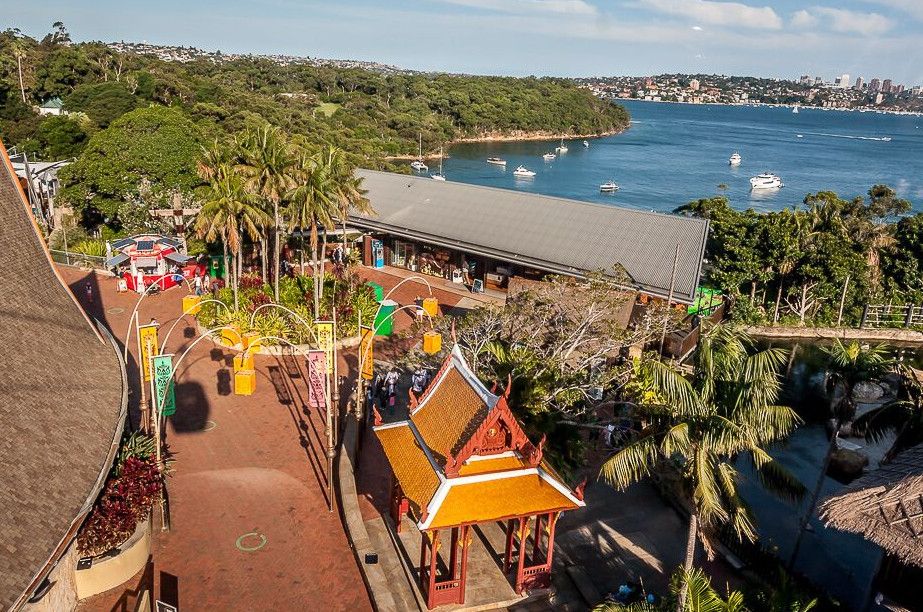 Зоопарк Таронга 