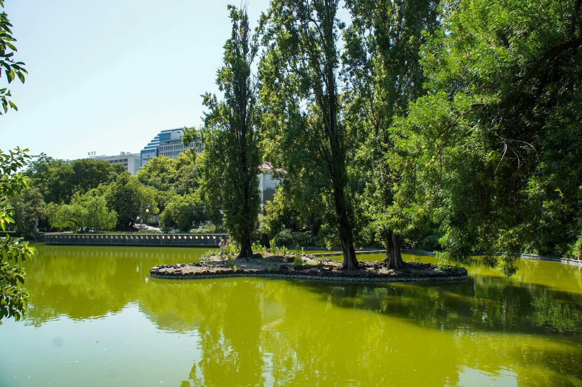 Парк Эдварда VII и Эстуфа Фриа 