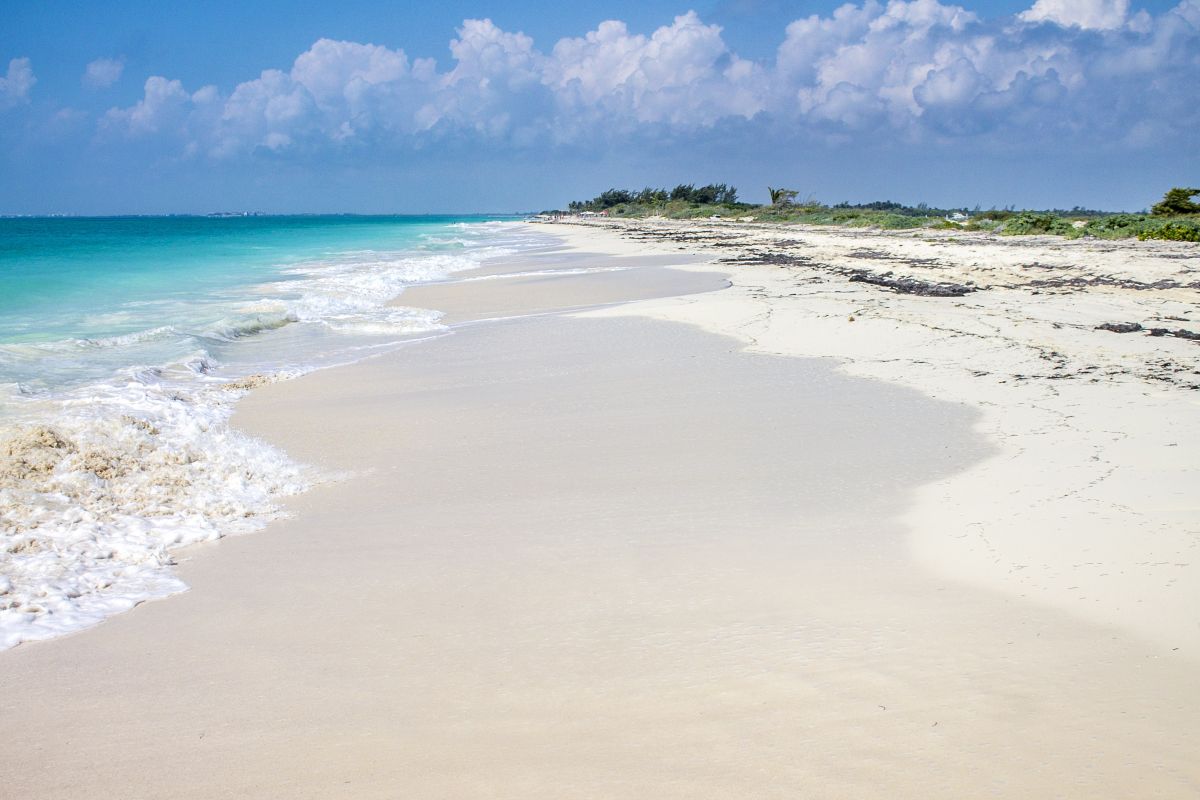 Исла Бланка