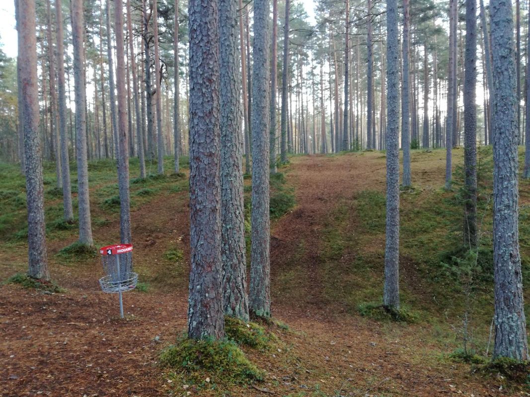 Парк для диск-гольфа Кубия