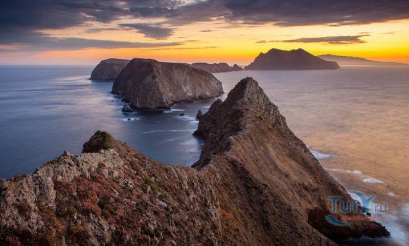 Коралловые Рифы Архипелага Дахлак