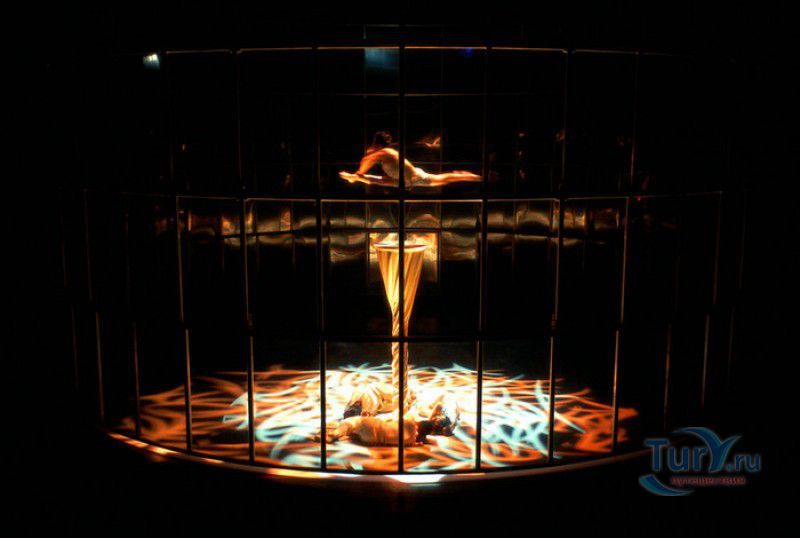 Всемирный Шанхайский Цирк