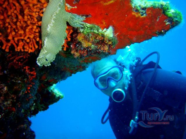 Дайвинг-центр Dive Easy