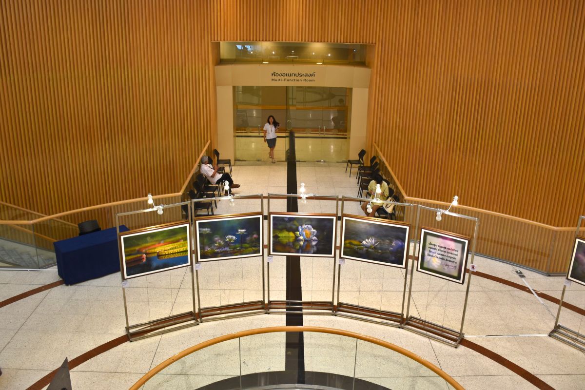 Музей Сиама