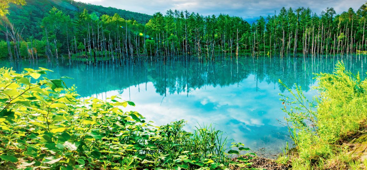 Голубой пруд