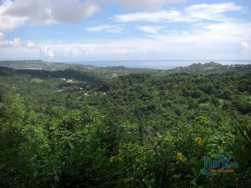 Ботанические сады Цветочный лес