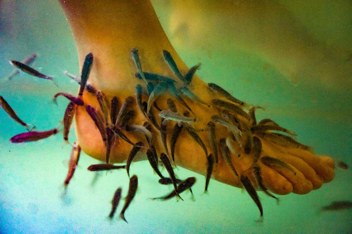 Аквапарк «Королевская бочка»