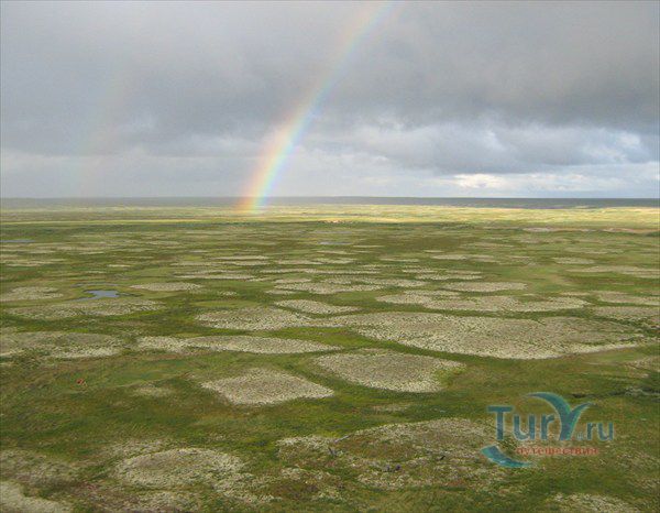 Большеземельский заповедник
