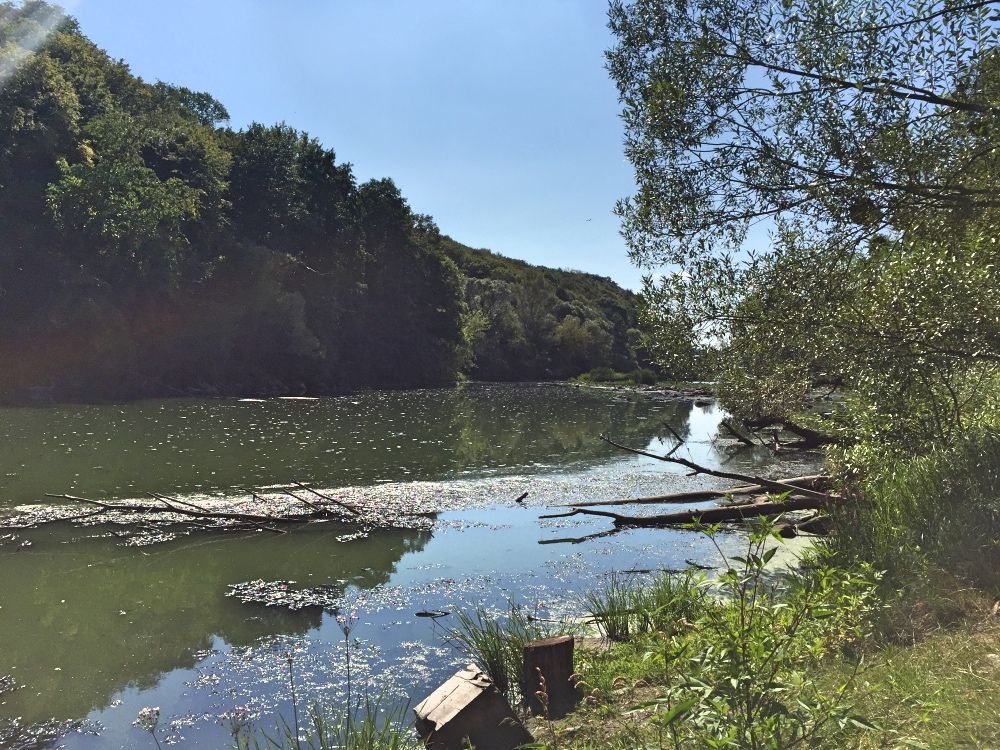 Река Тетерев