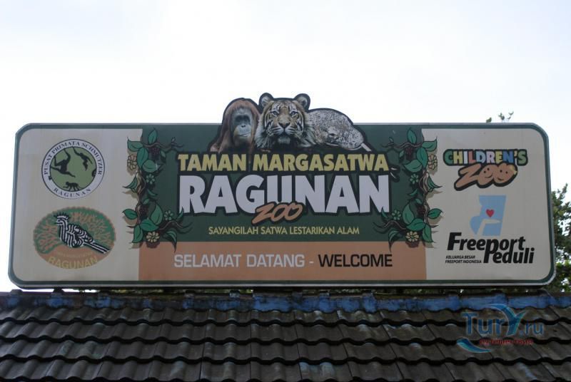 Зooпapк Рагунан в Джакарте