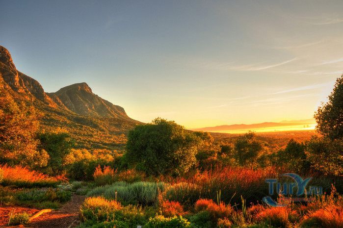 Национальный Ботанический Сад Кирстенбош