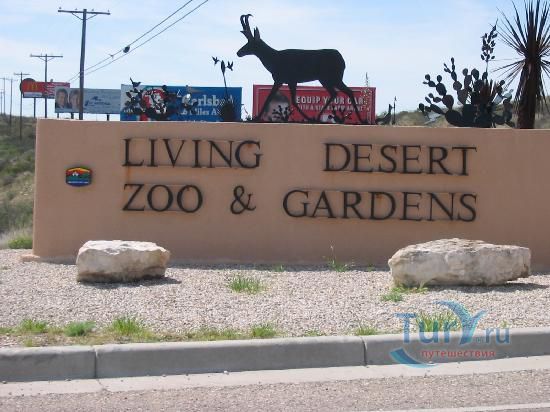 Заповедник Живая Пустыня