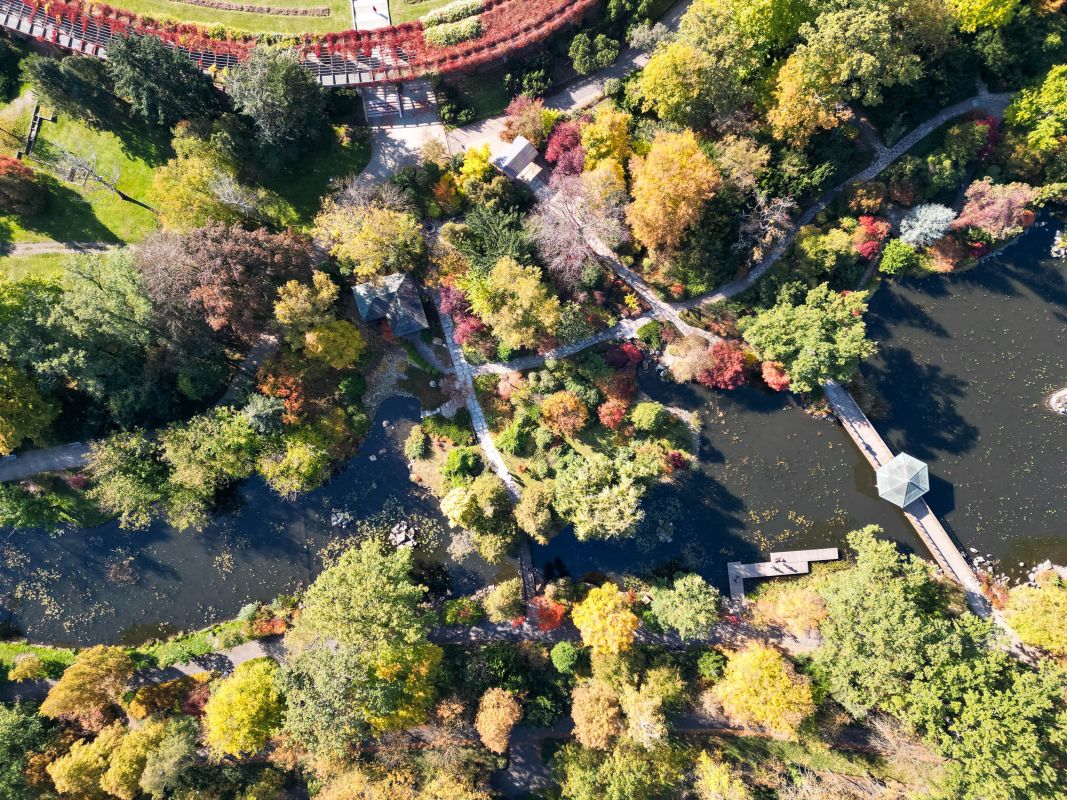 Японский сад во Вроцлаве