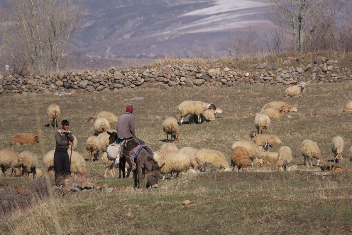 Провинция Илам
