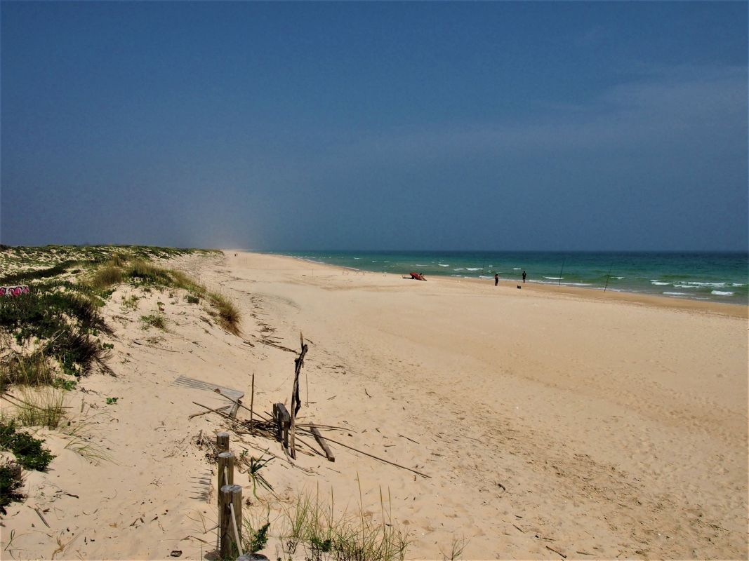 Пляж «Прайя-да-Илья-ди-Тавира-Мар»